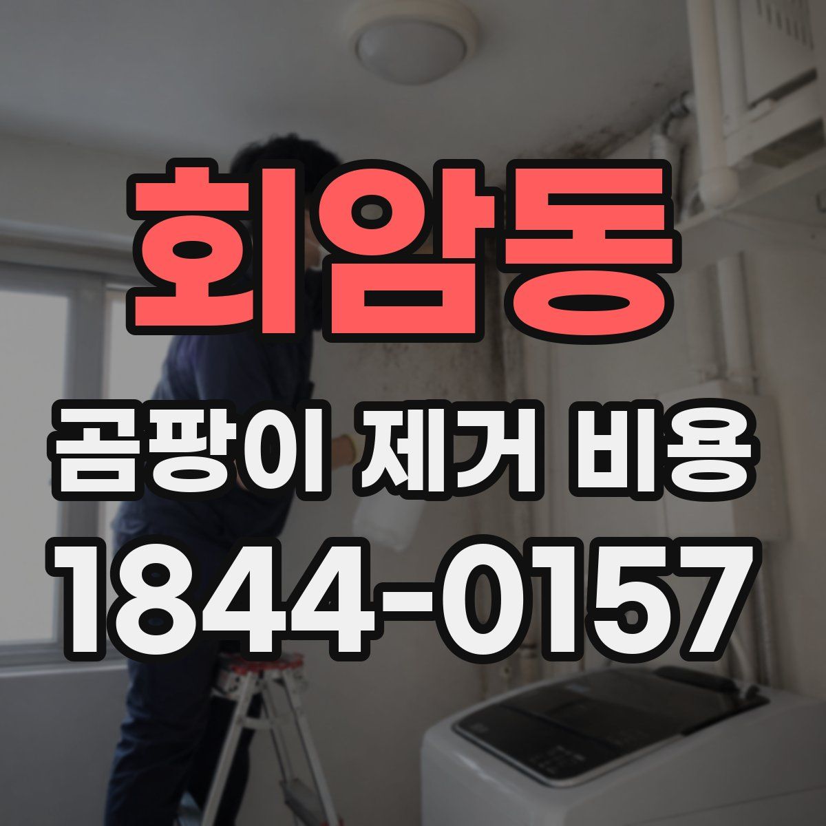 회암동 곰팡이 제거 비용