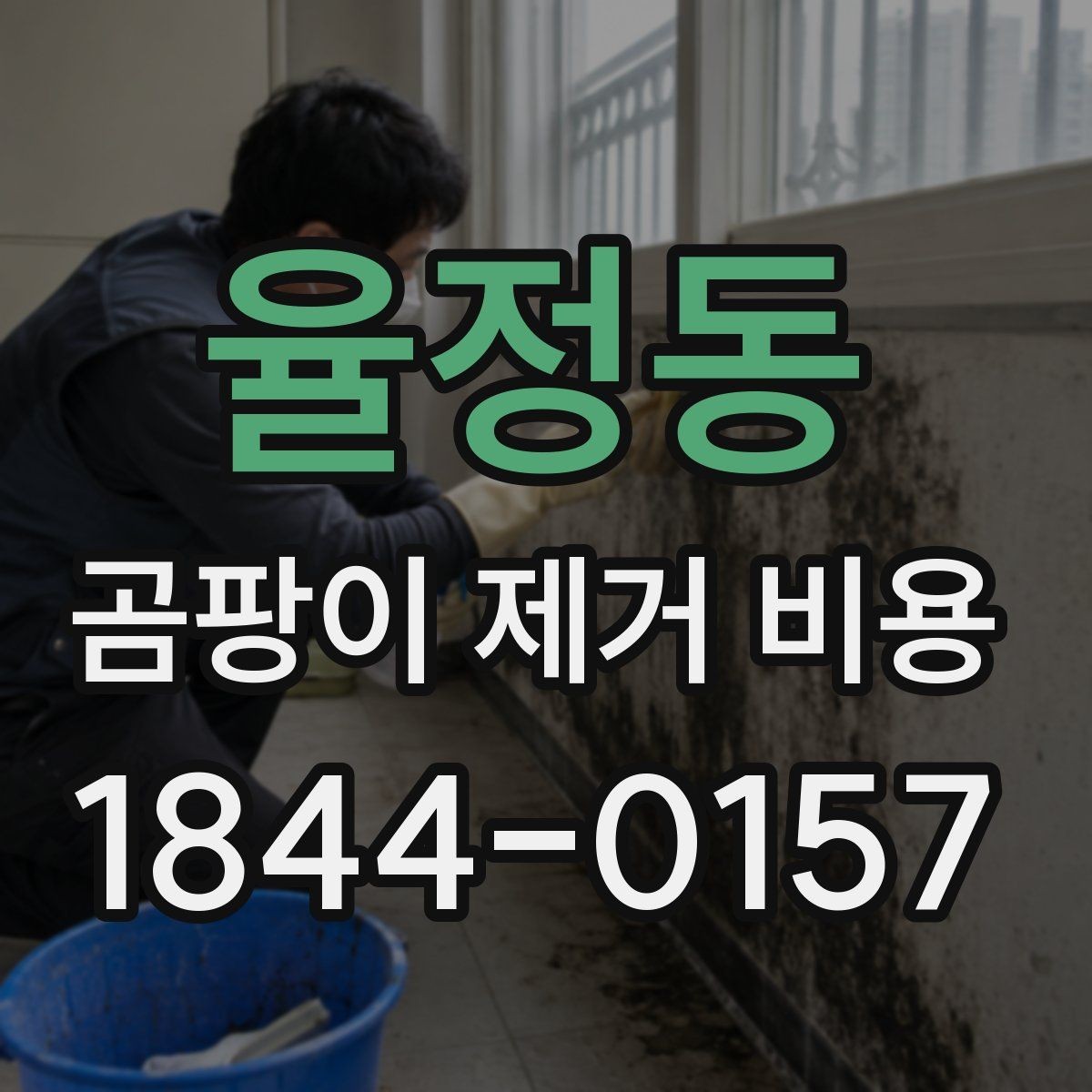 율정동 곰팡이 제거 비용 가구 오염까지 포함되는지 살펴보기
