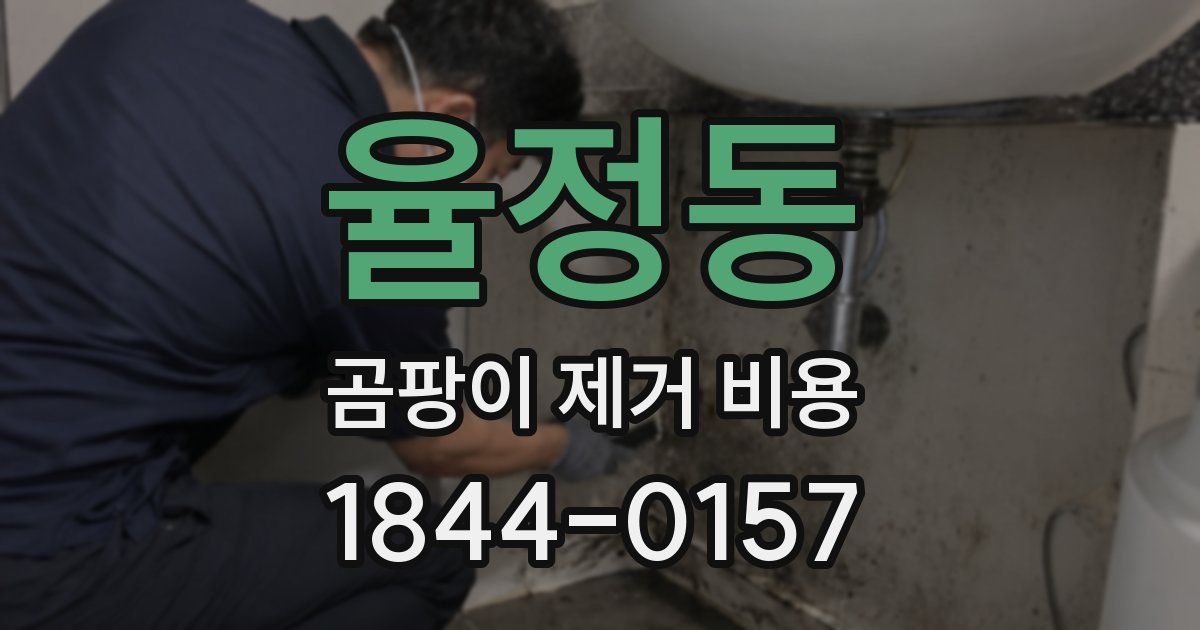 율정동 곰팡이 제거 비용