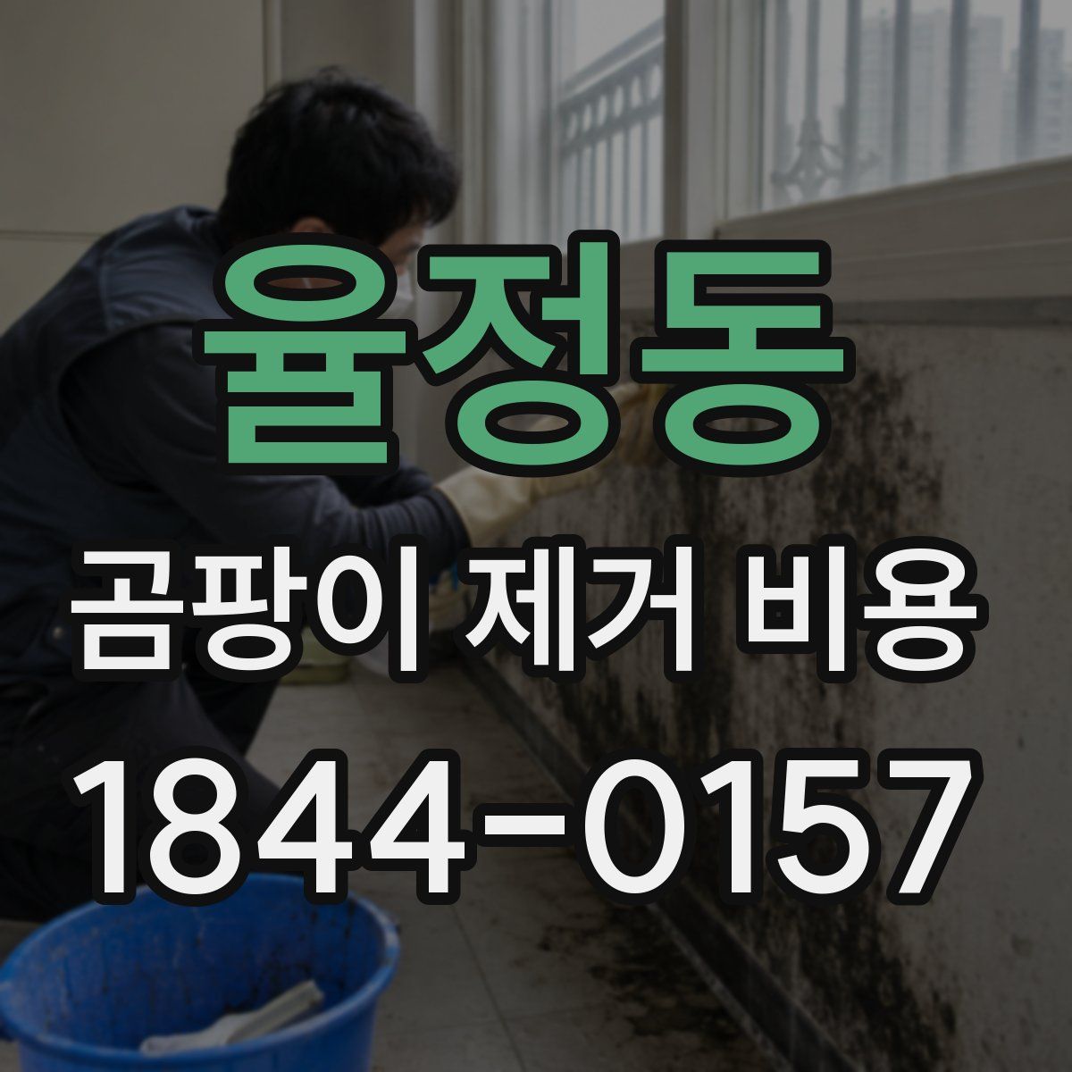 율정동 곰팡이 제거 비용