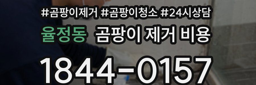 율정동 곰팡이 제거 비용