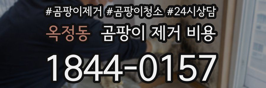 옥정동 곰팡이 제거 비용