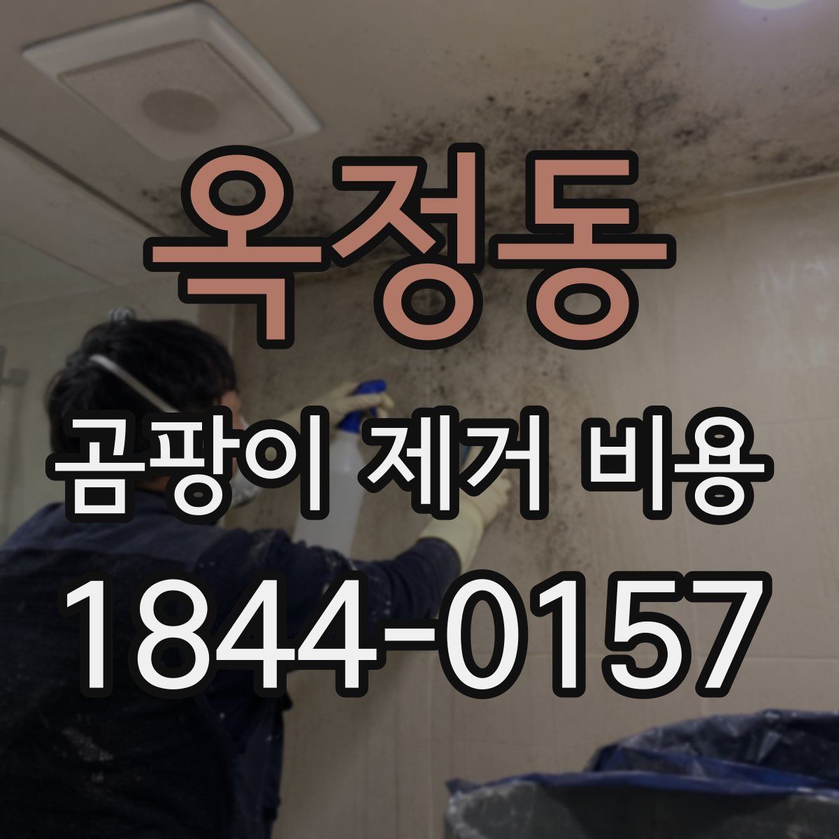 옥정동 곰팡이 제거 비용