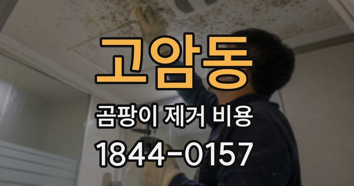 고암동 곰팡이 제거 비용