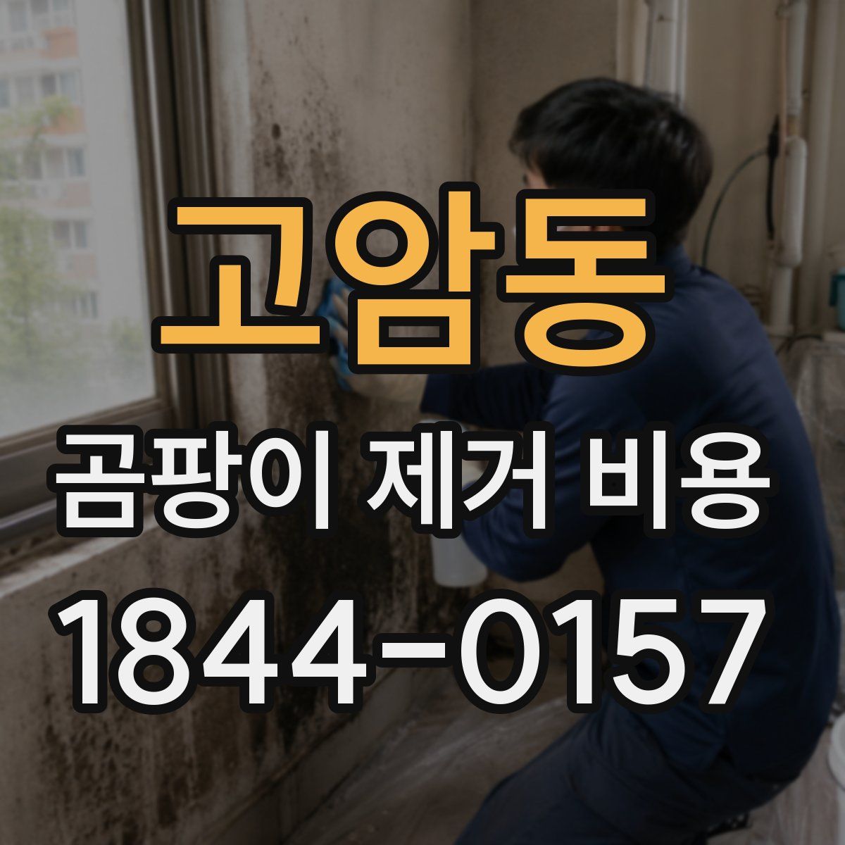 고암동 곰팡이 제거 비용