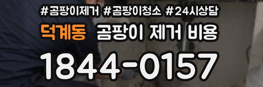 덕계동 곰팡이 제거 비용