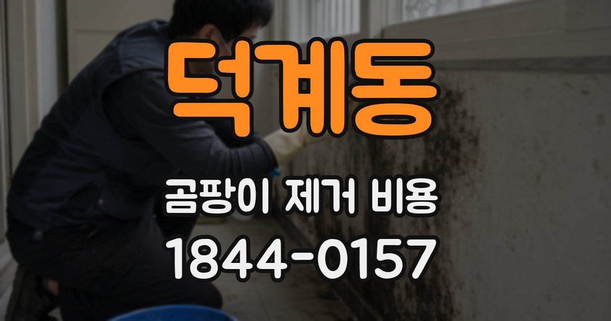 덕계동 곰팡이 제거 비용