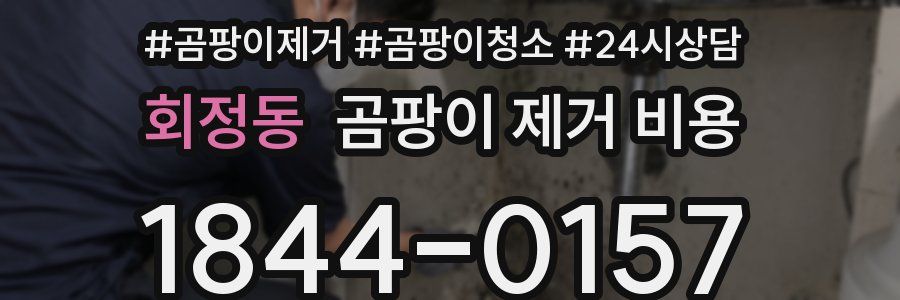 회정동 곰팡이 제거 비용