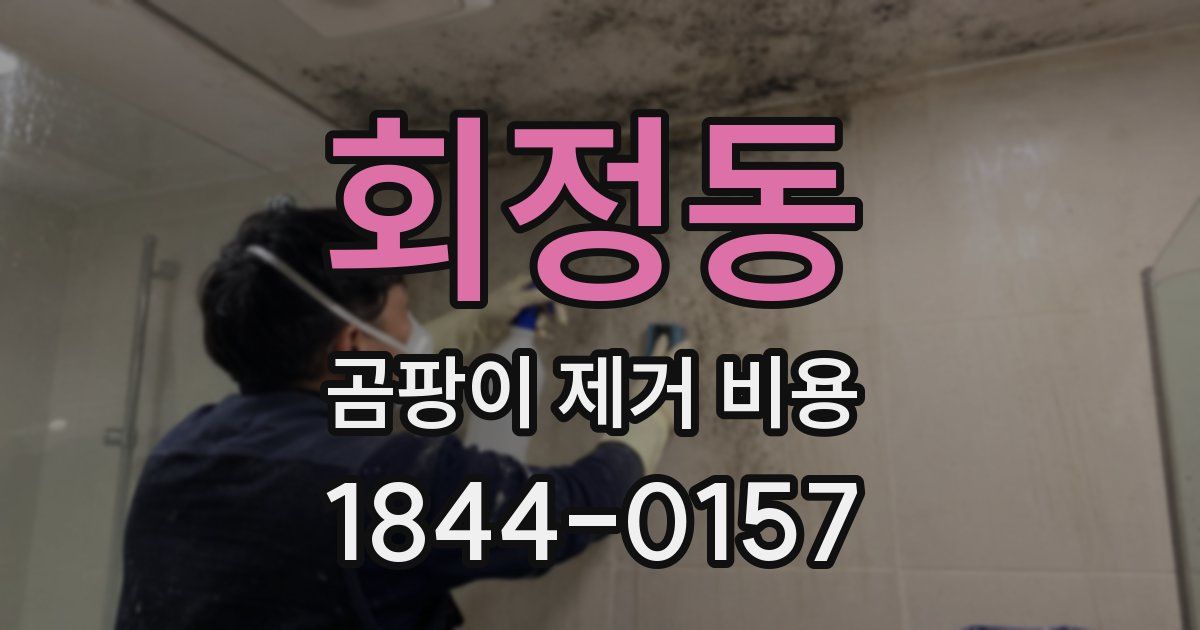 회정동 곰팡이 제거 비용