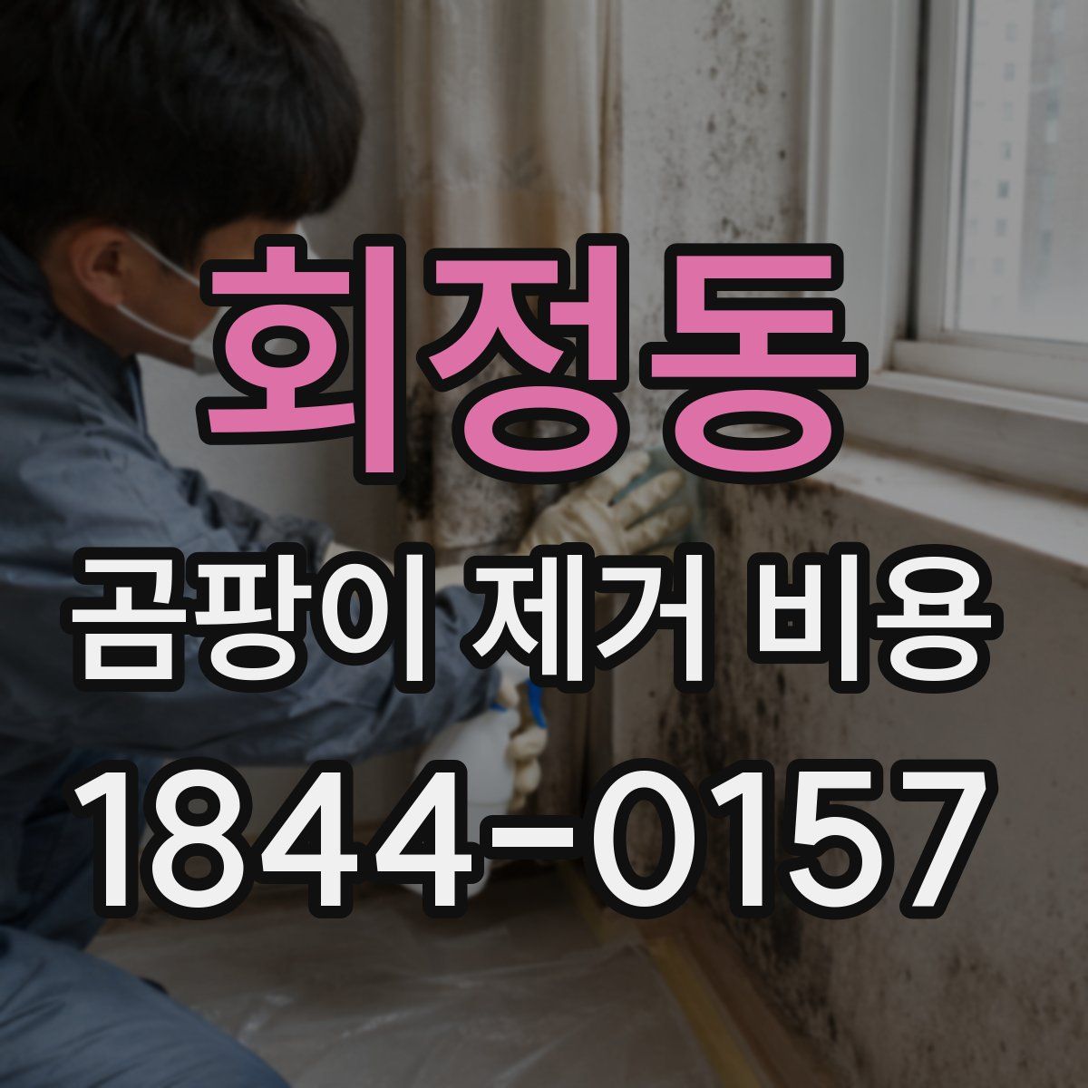 회정동 곰팡이 제거 비용