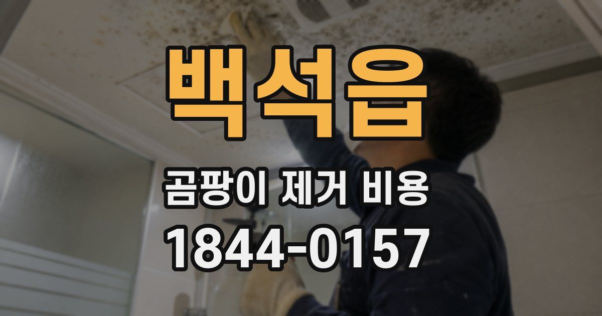 백석읍 곰팡이 제거 비용
