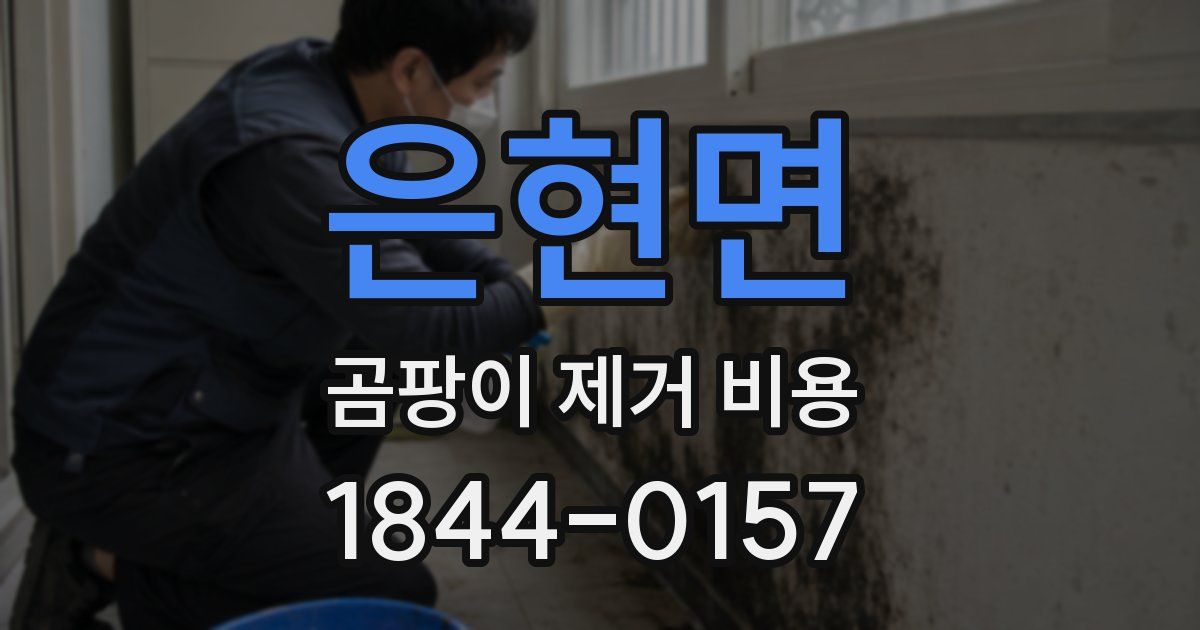 은현면 곰팡이 제거 비용