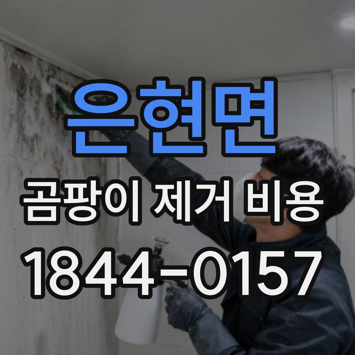 은현면 곰팡이 제거 비용