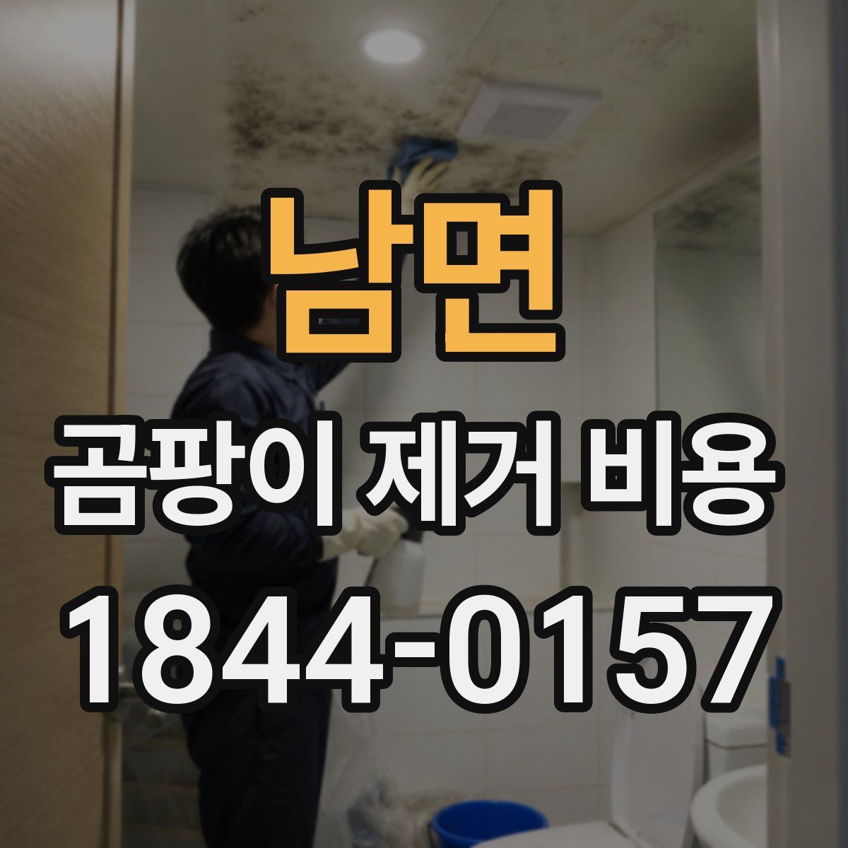 남면 곰팡이 제거 비용