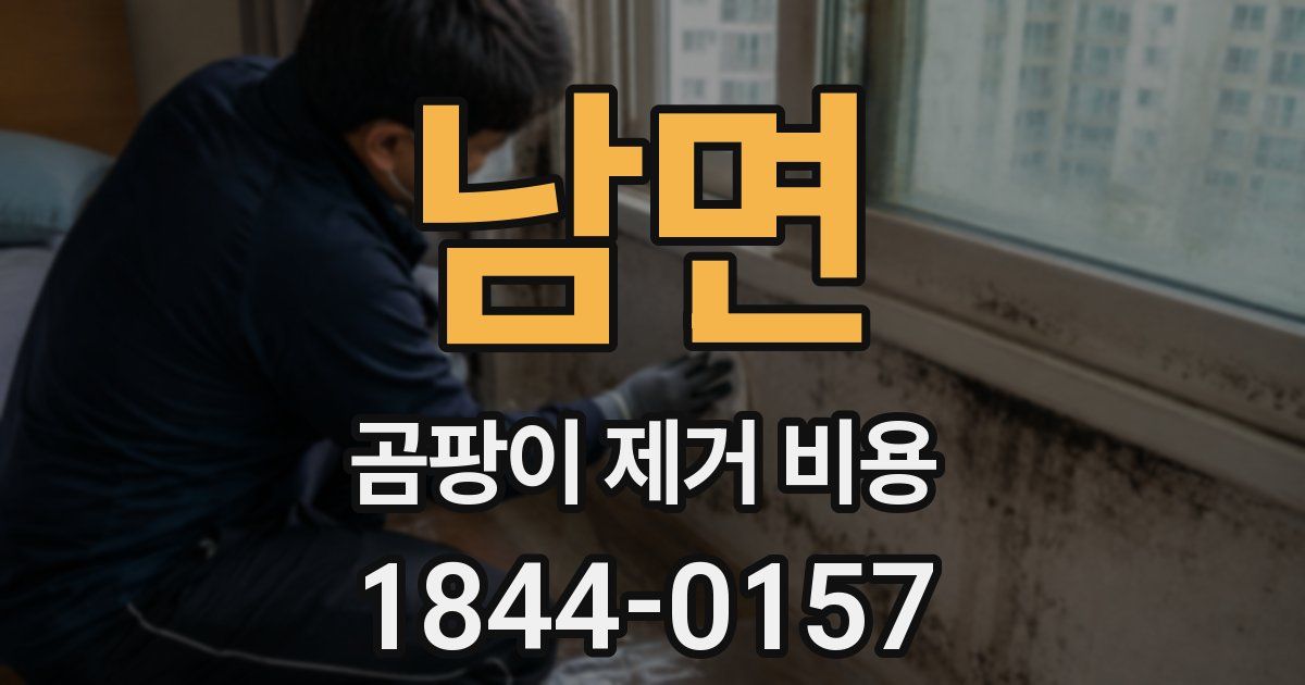 남면 곰팡이 제거 비용