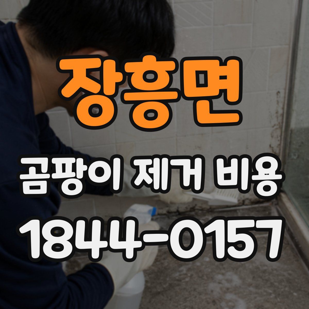 장흥면 곰팡이 제거 비용
