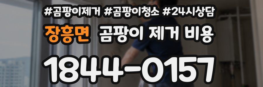 장흥면 곰팡이 제거 비용