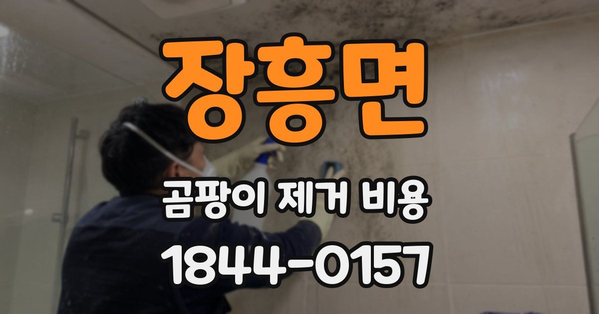 장흥면 곰팡이 제거 비용