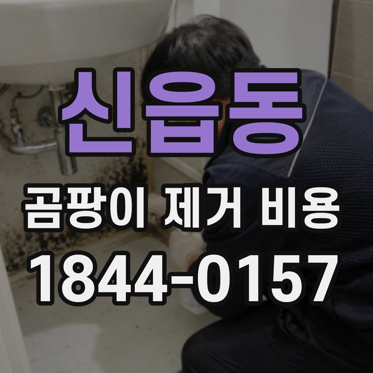 신읍동 곰팡이 제거 비용