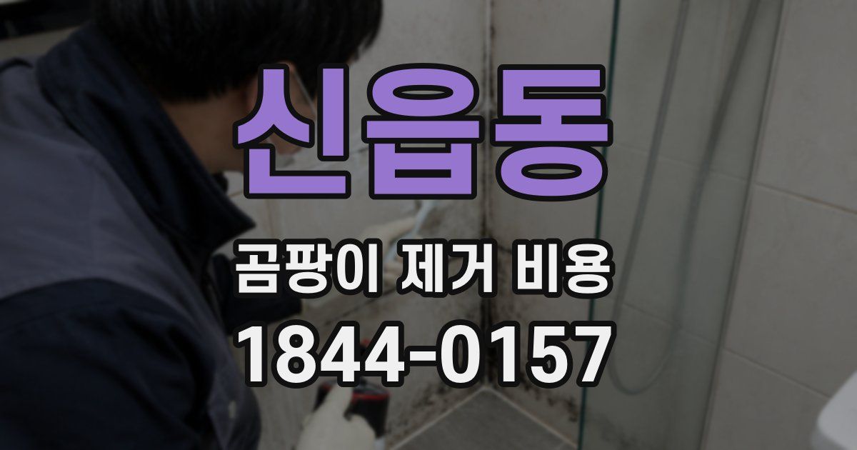 신읍동 곰팡이 제거 비용