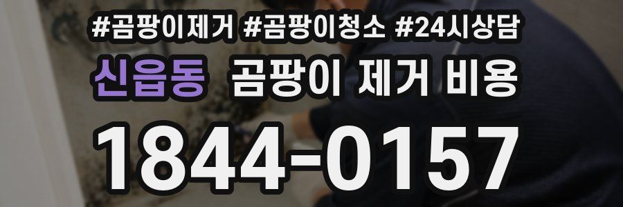 신읍동 곰팡이 제거 비용