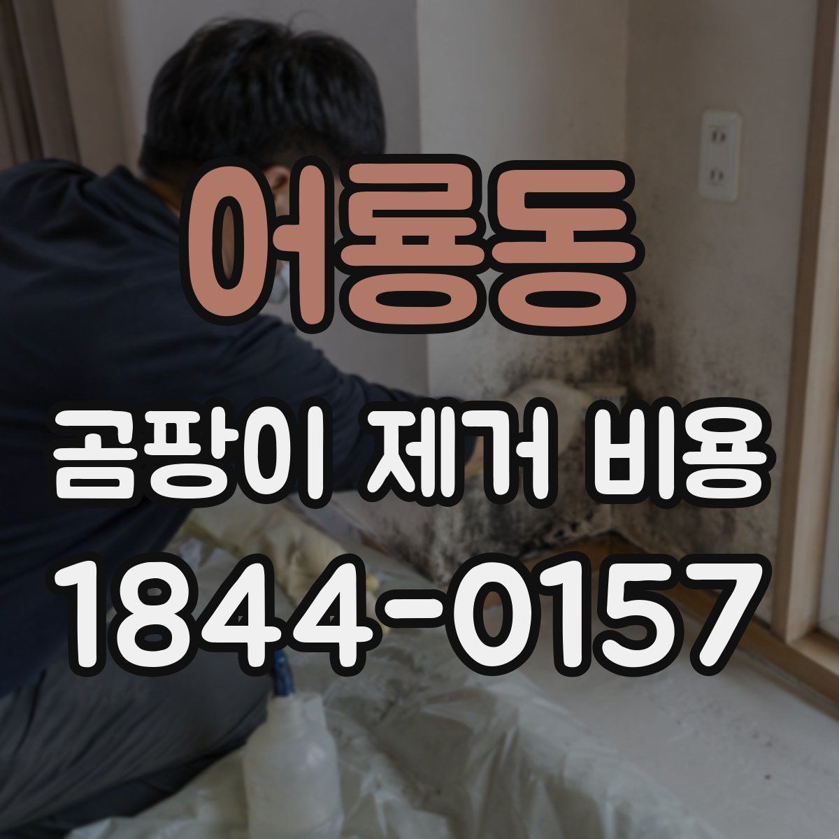 어룡동 곰팡이 제거 비용