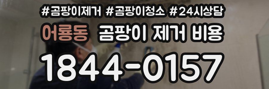 어룡동 곰팡이 제거 비용