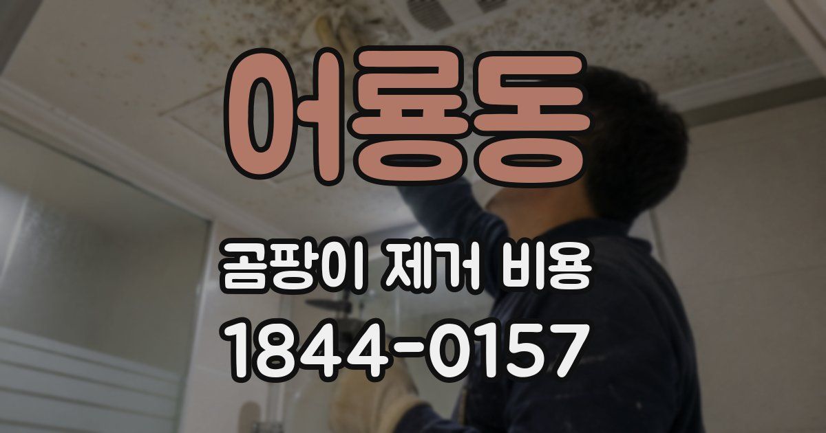 어룡동 곰팡이 제거 비용