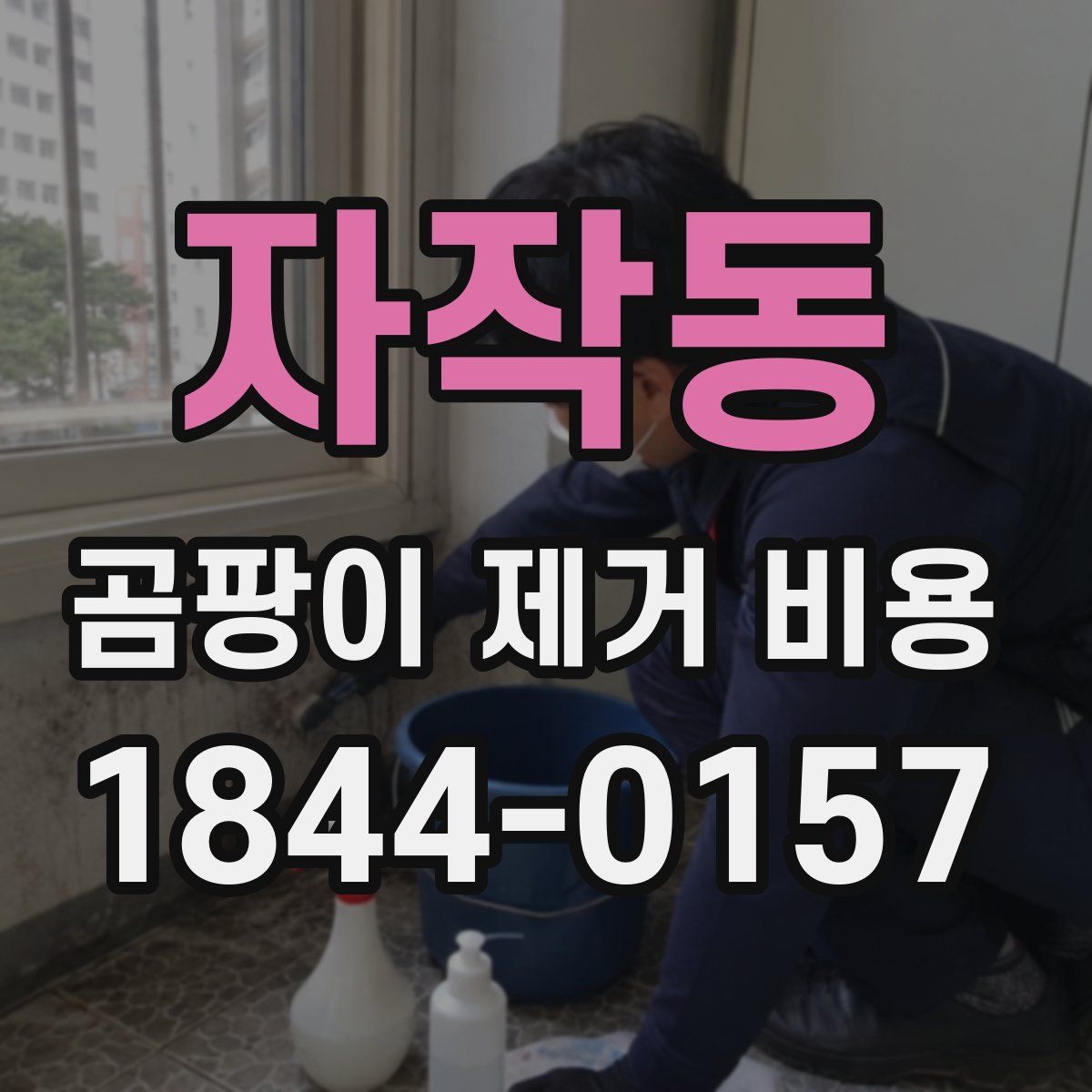 자작동 곰팡이 제거 비용