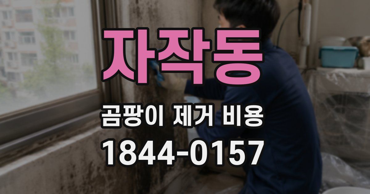 자작동 곰팡이 제거 비용