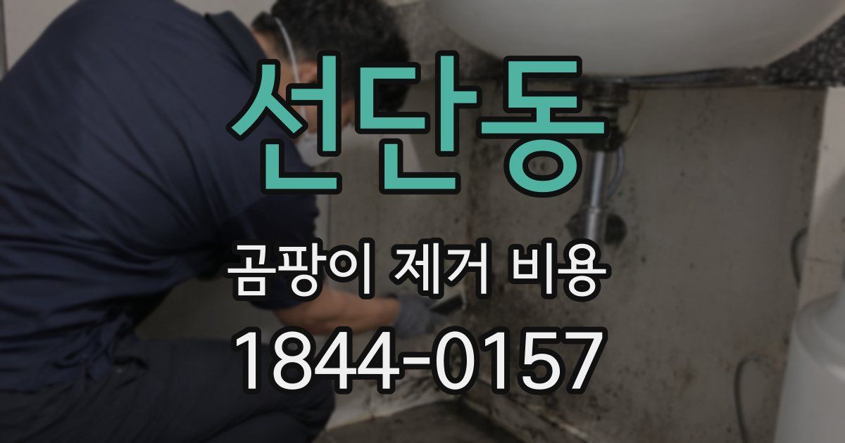 선단동 곰팡이 제거 비용