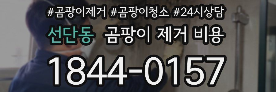 선단동 곰팡이 제거 비용