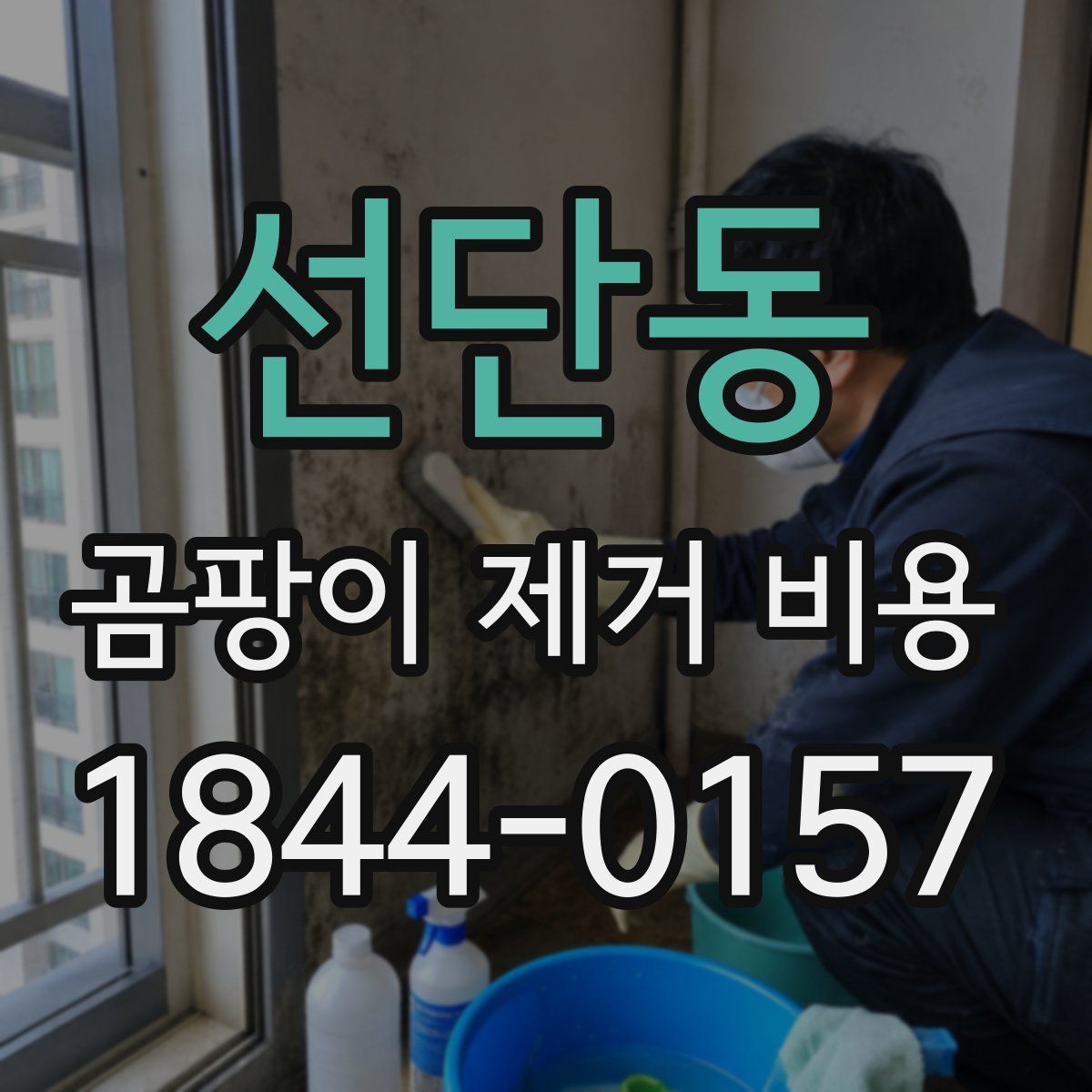 선단동 곰팡이 제거 비용