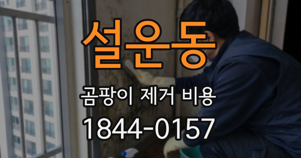 설운동 곰팡이 제거 비용