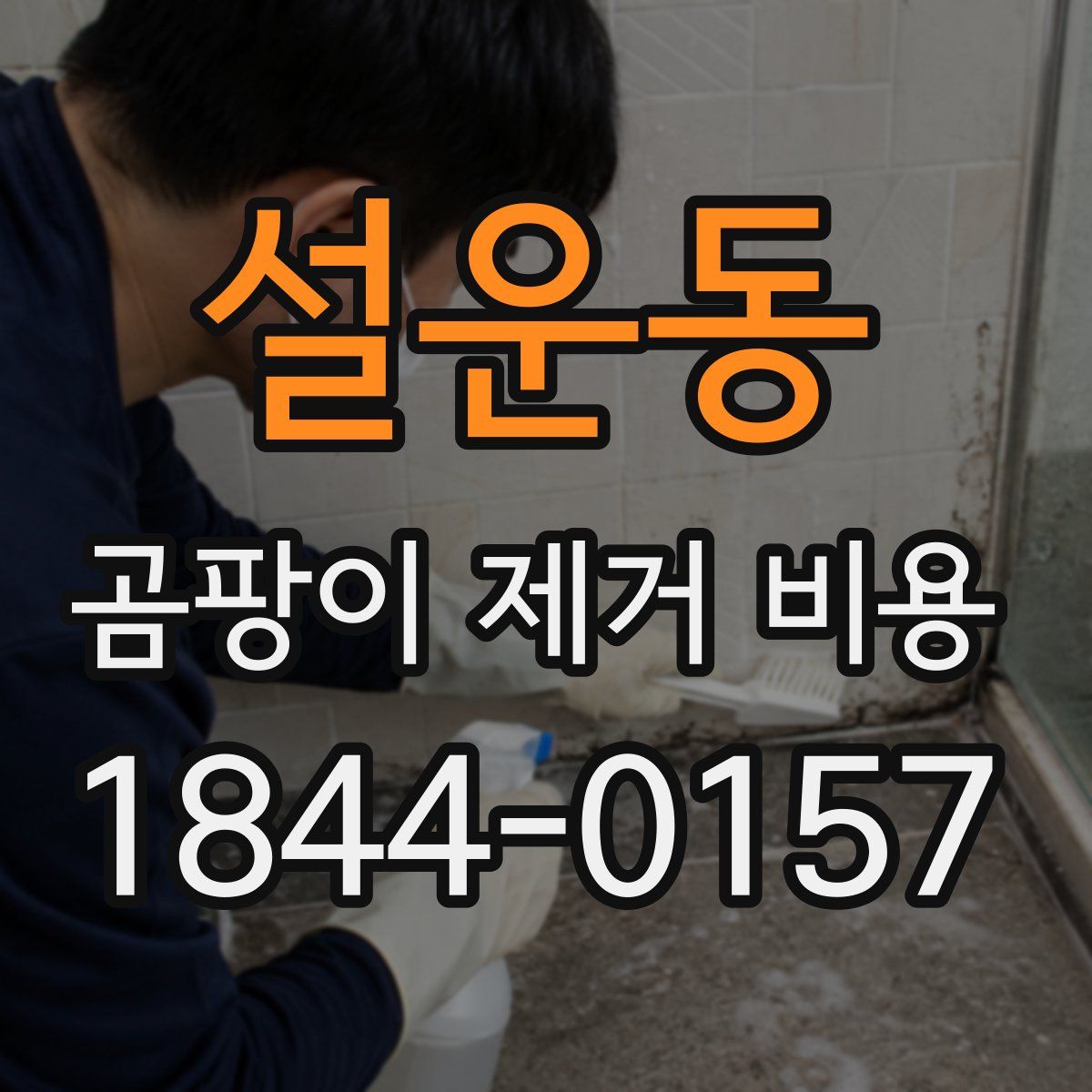 설운동 곰팡이 제거 비용