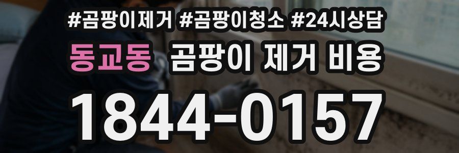 동교동 곰팡이 제거 비용
