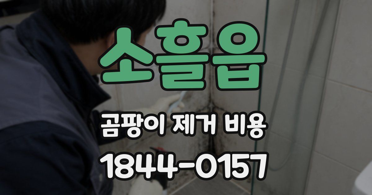 소흘읍 곰팡이 제거 비용