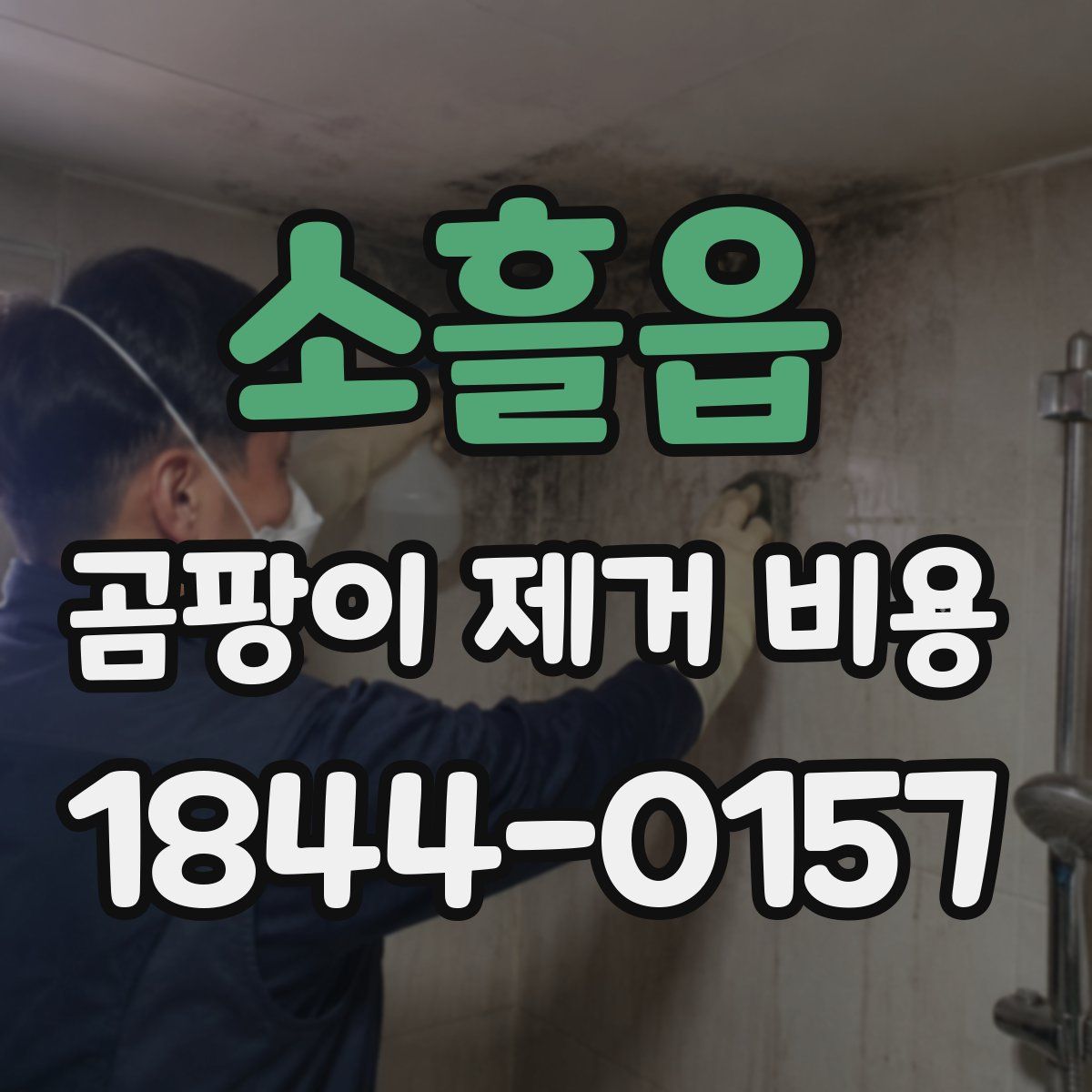 소흘읍 곰팡이 제거 비용