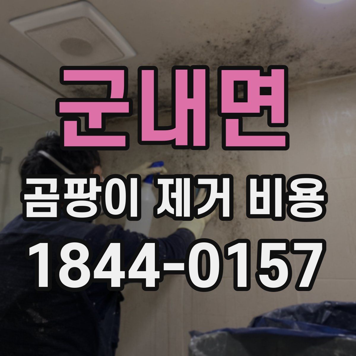 군내면 곰팡이 제거 비용