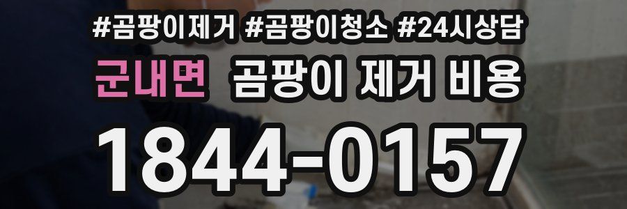 군내면 곰팡이 제거 비용