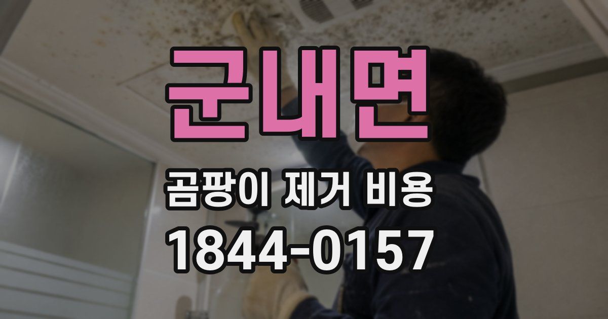 군내면 곰팡이 제거 비용