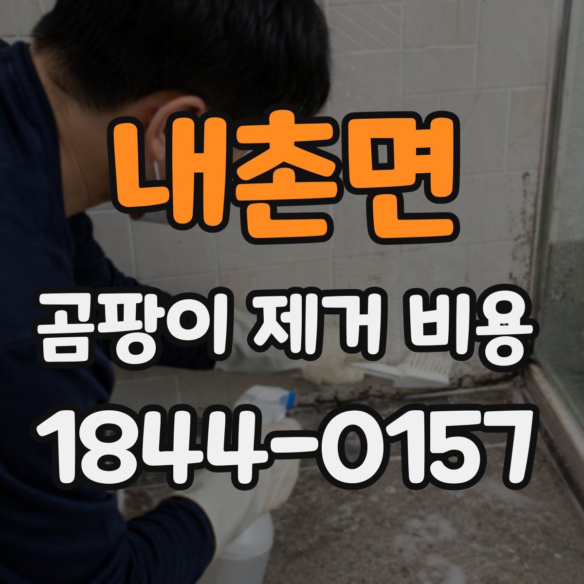 내촌면 곰팡이 제거 비용