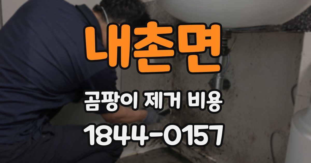 내촌면 곰팡이 제거 비용