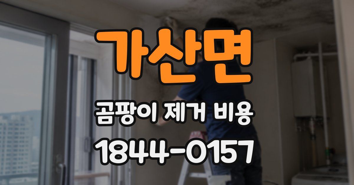 가산면 곰팡이 제거 비용