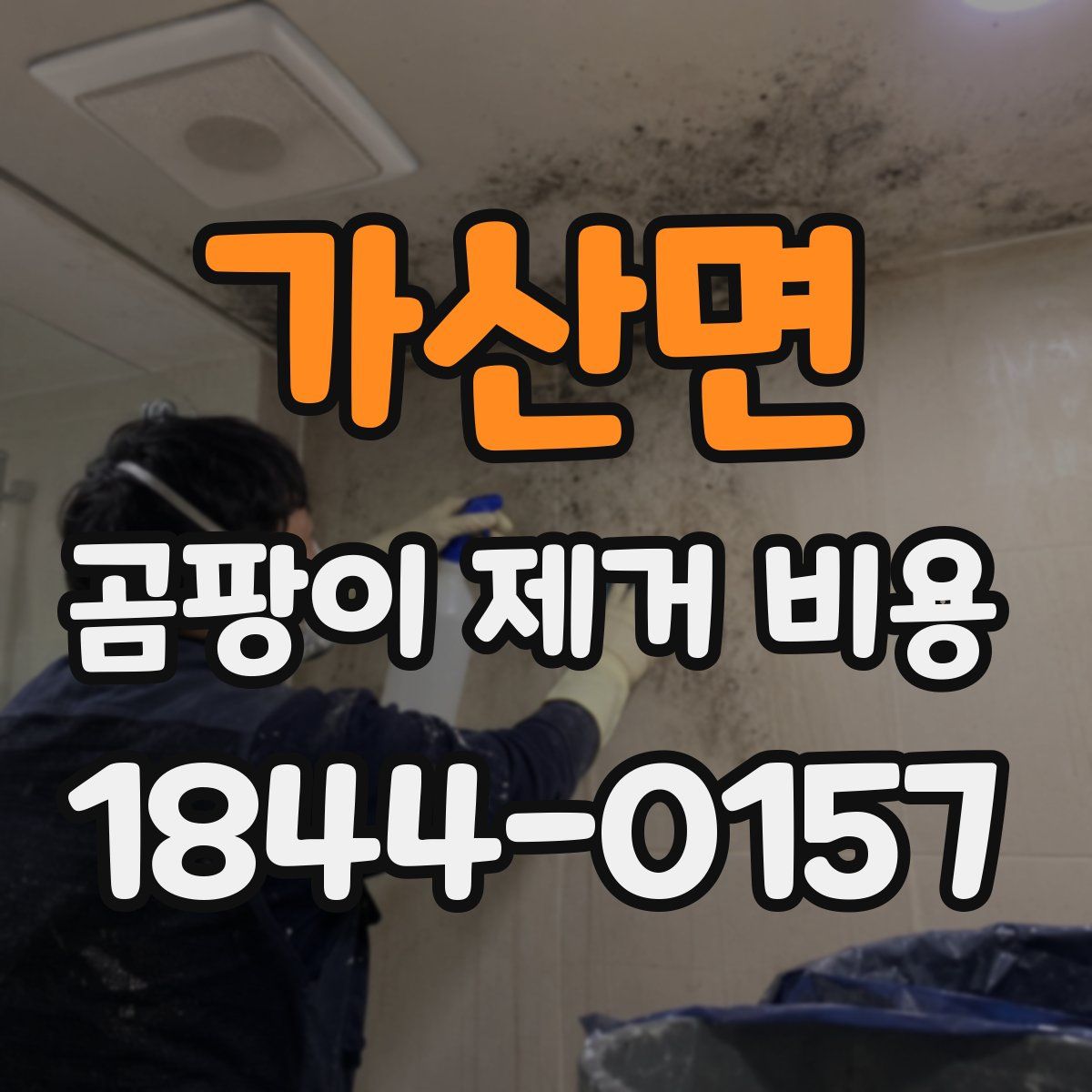 가산면 곰팡이 제거 비용
