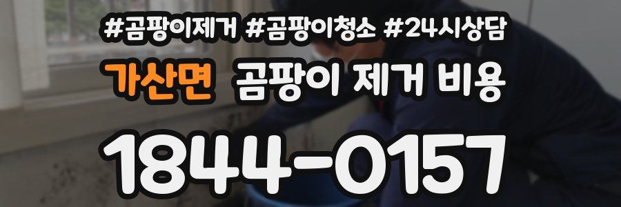 가산면 곰팡이 제거 비용
