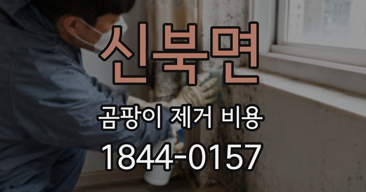 신북면 곰팡이 제거 비용