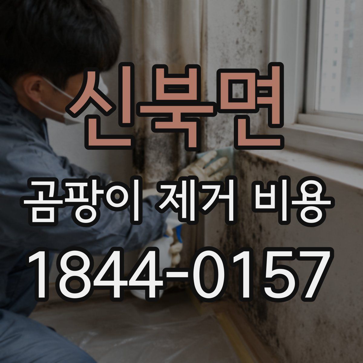 신북면 곰팡이 제거 비용