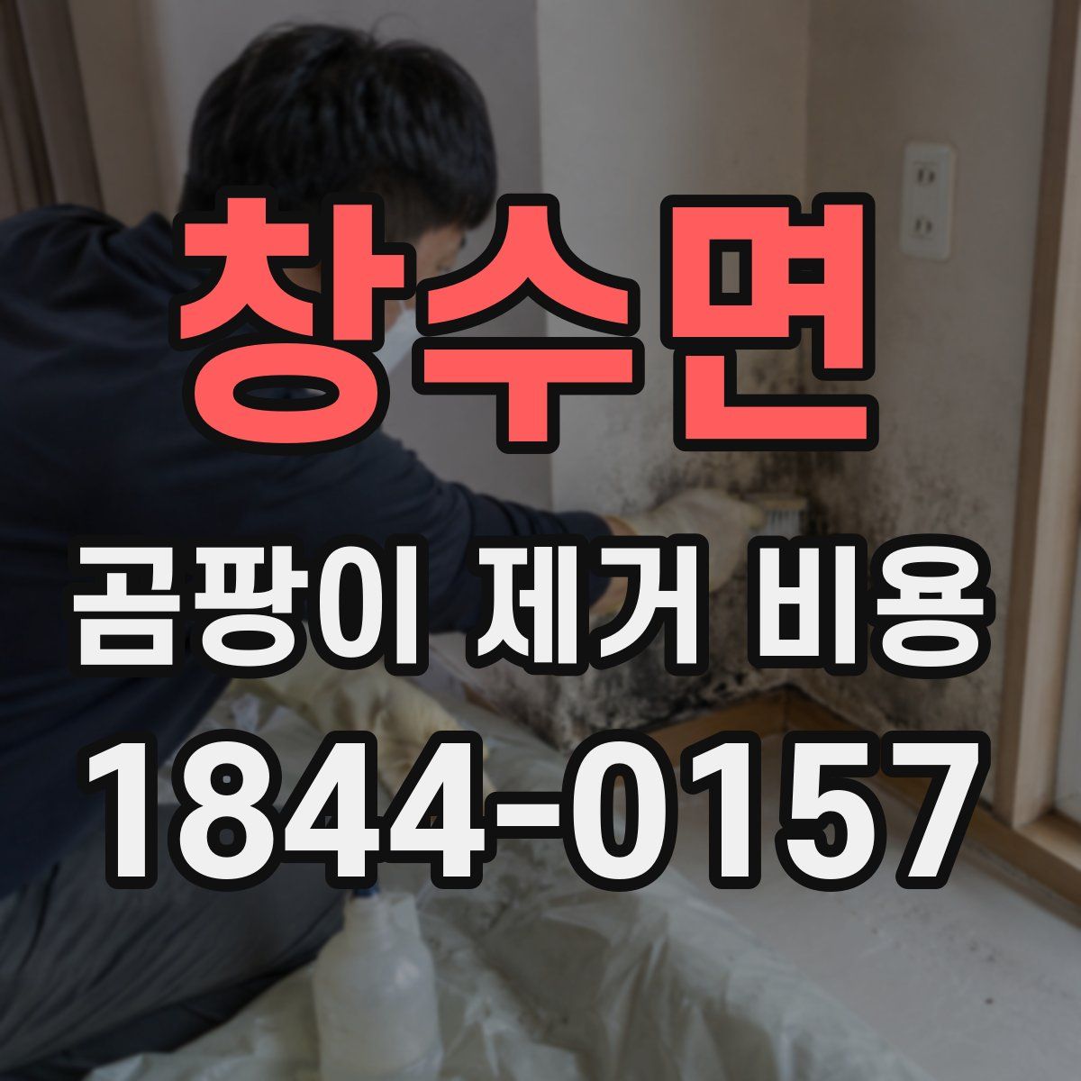 창수면 곰팡이 제거 비용