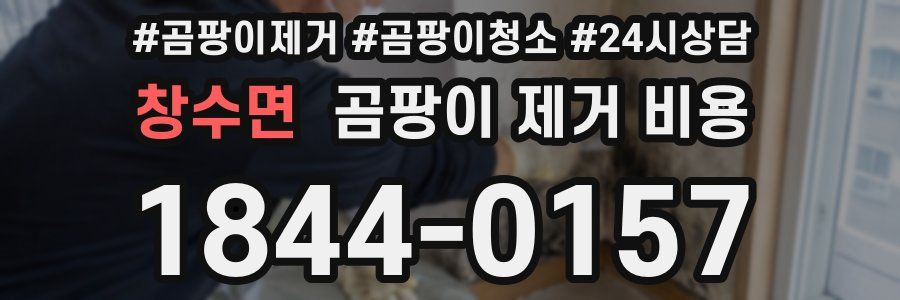 창수면 곰팡이 제거 비용